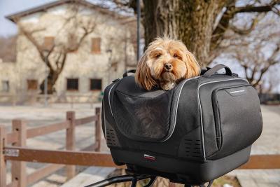 Pet Bag GIVI: maleta para transportar tu mascota